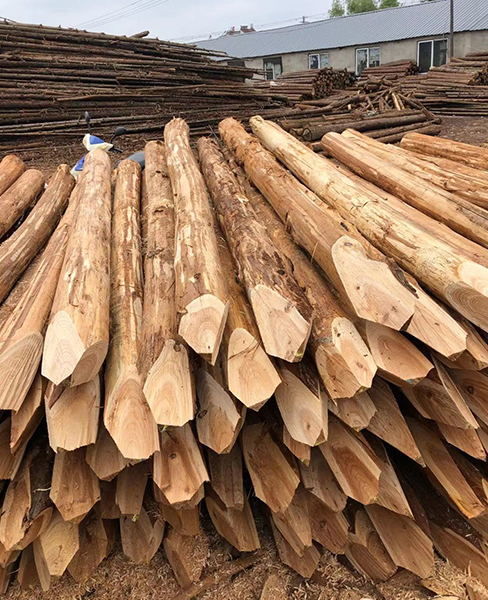深耕行業，匠心為本 樂業木業杉木樁與鑿巖釬具的品質之路
